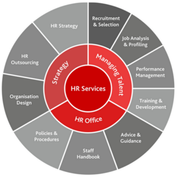 hr-consultancy-services-500x500